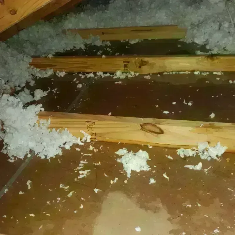 Attic Water Damage in Clinton, MS