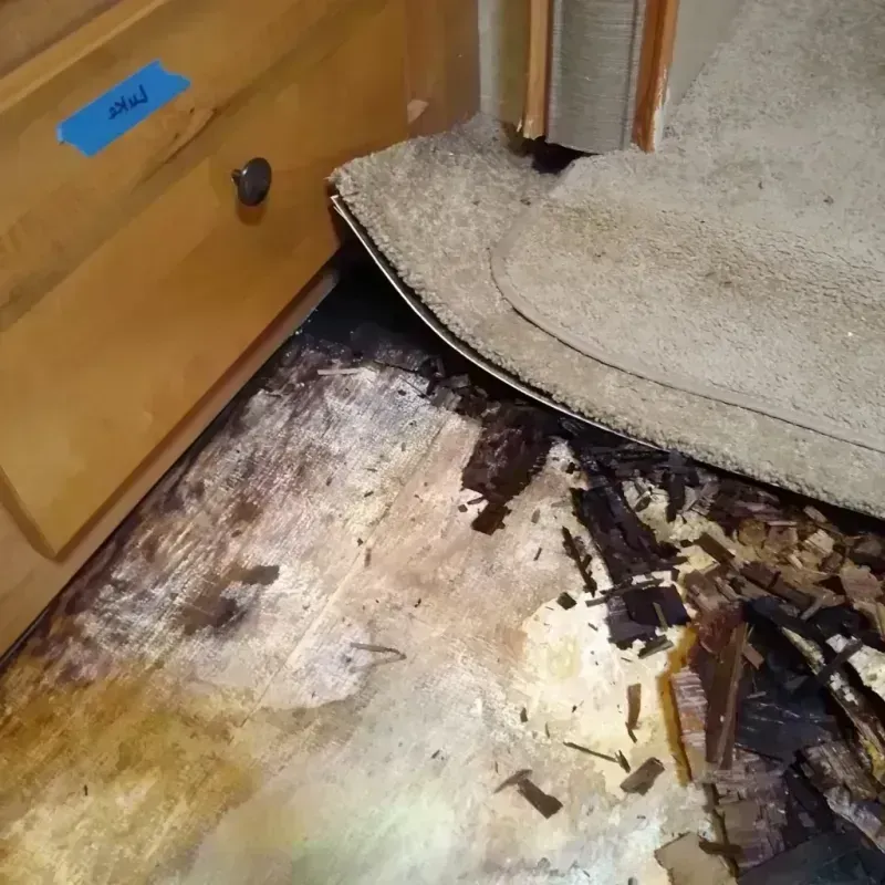 Wood Floor Water Damage in Clinton, MS